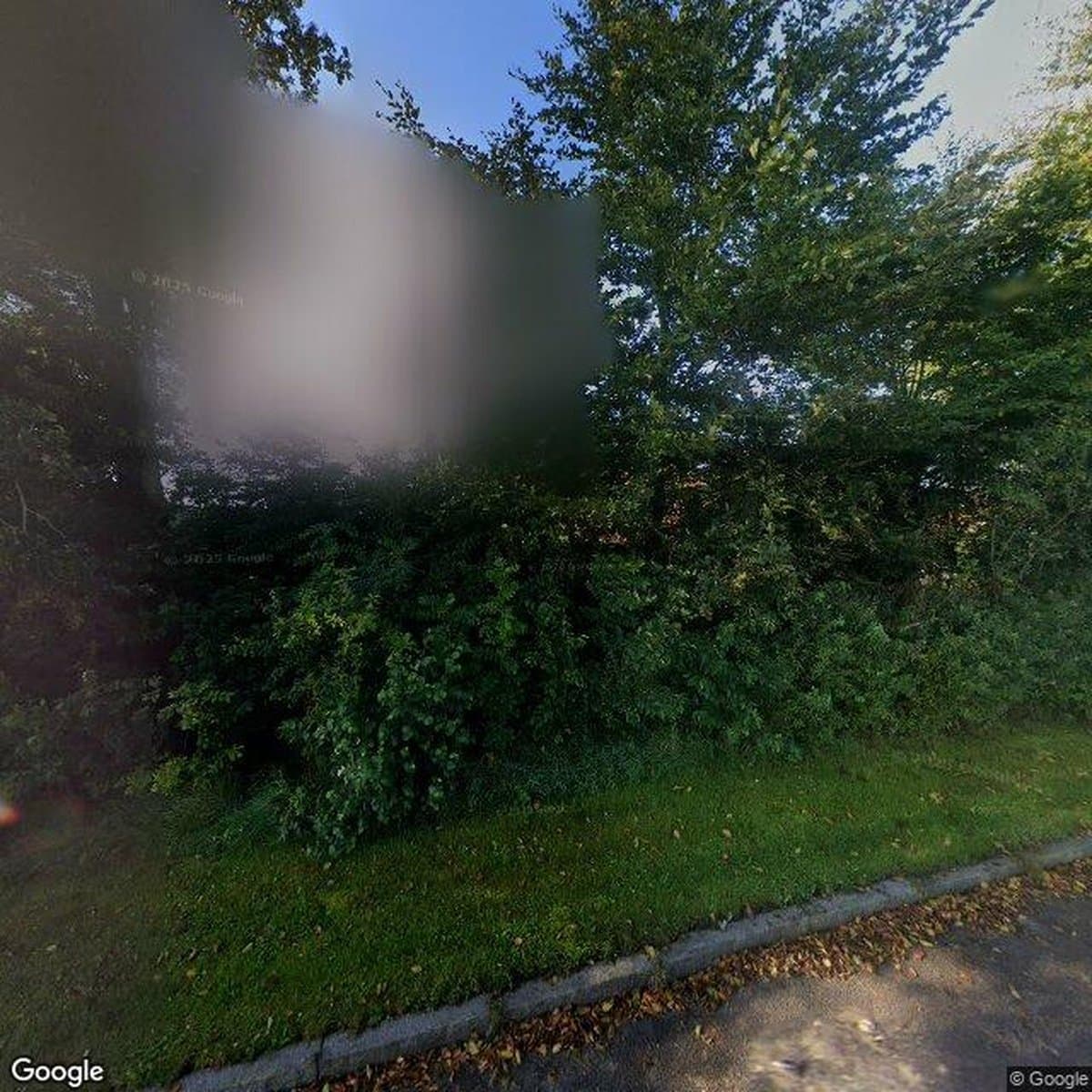 Andelsboligforeningen Blomsterparken, andelsboligforening i Aulum