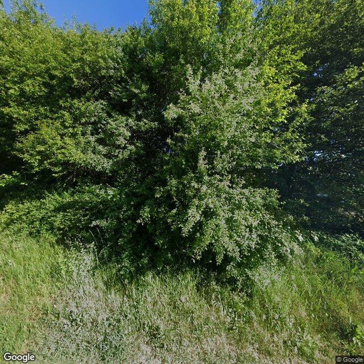 A/B Klovborg
